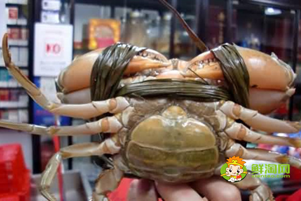 黃油蟹市價多少錢一斤,黃油蟹怎么吃