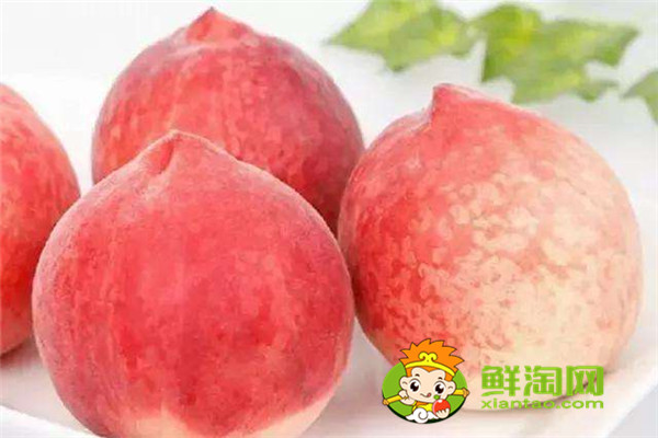 冬桃產(chǎn)地哪里的最好，冬桃和雪桃有什么區(qū)別