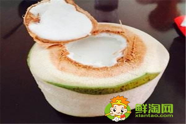 椰漿跟椰汁有什么不同,椰子什么時(shí)候成熟