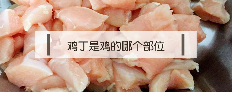 雞丁是雞的哪個部位