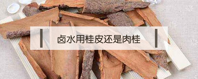 鹵水用桂皮還是肉桂