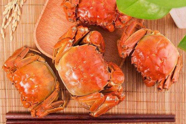 黃油蟹做法都是怎么煮，怎么區(qū)分黃油蟹