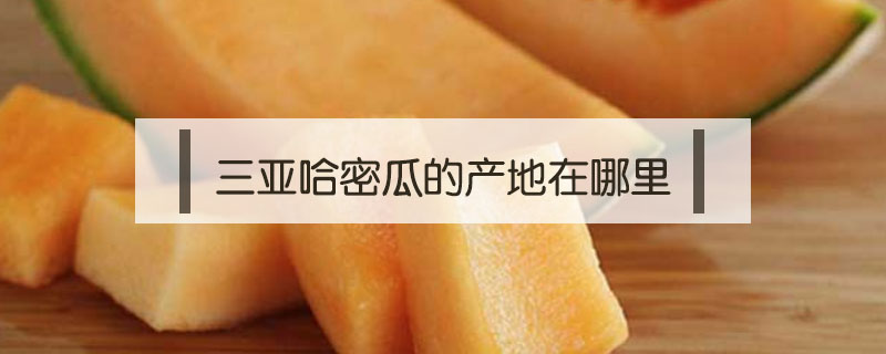 三亞哈密瓜的產地在哪里