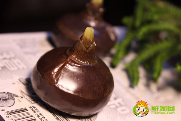 如何煮荸薺，荸薺和什么不能一起吃