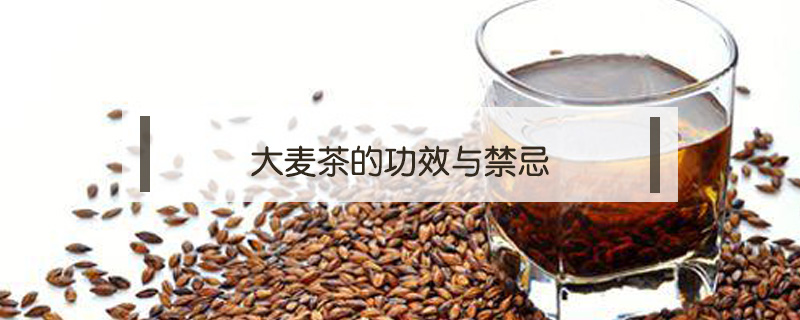大麥茶的功效與禁忌