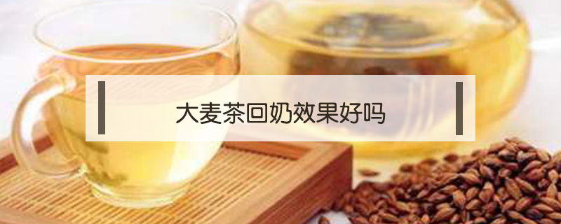 大麥茶回奶效果好嗎