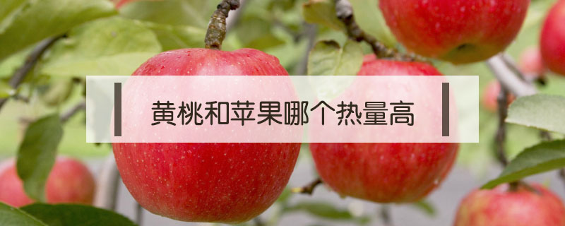 黃桃和蘋(píng)果哪個(gè)熱量高