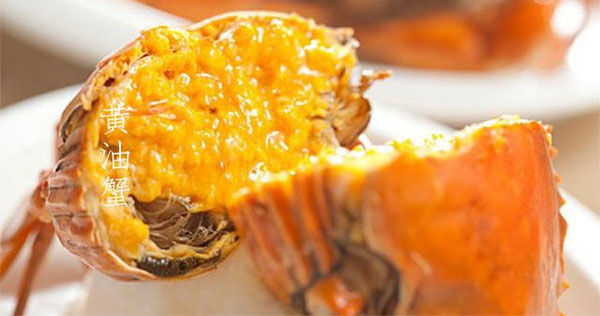 黃油蟹和膏蟹的區(qū)別