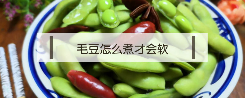 毛豆怎么煮才會(huì)軟