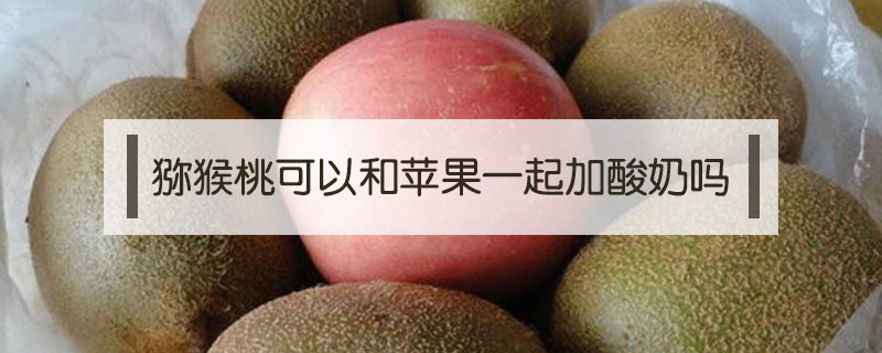獼猴桃可以和蘋果一起加酸奶嗎