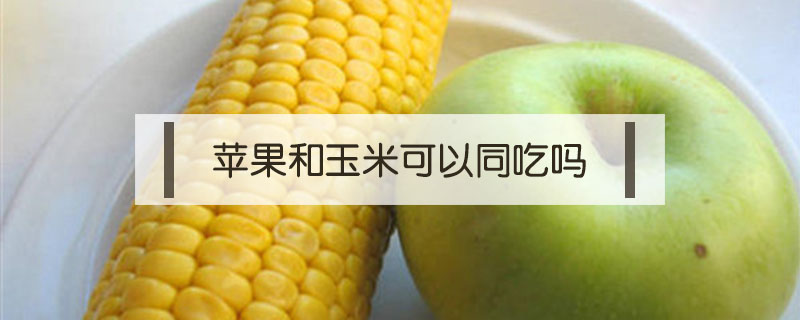 蘋(píng)果和玉米可以同吃嗎