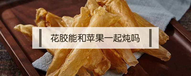 花膠能和蘋果一起燉嗎