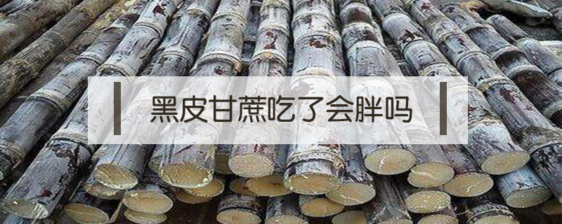 黑皮甘蔗吃了會(huì)胖嗎
