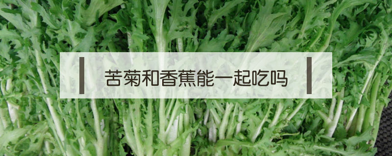 苦菊和香蕉能一起吃嗎