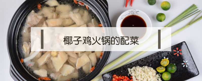 椰子雞火鍋的配菜