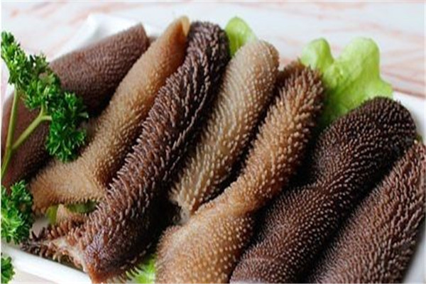 毛肚是什么動(dòng)物身上的
