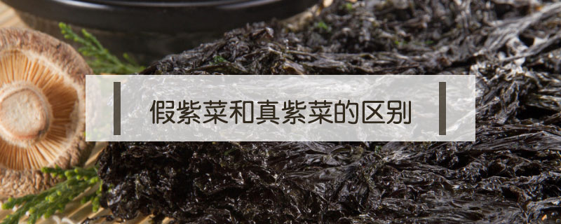 假紫菜和真紫菜的區(qū)別