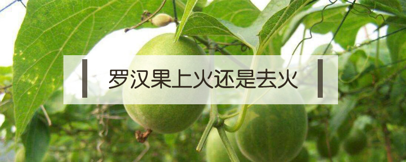 羅漢果上火還是去火