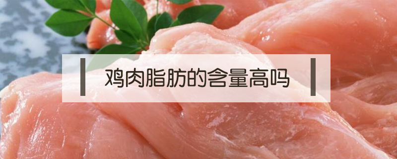 雞肉脂肪的含量高嗎