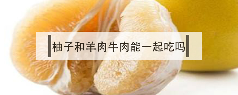 柚子和羊肉牛肉能一起吃嗎