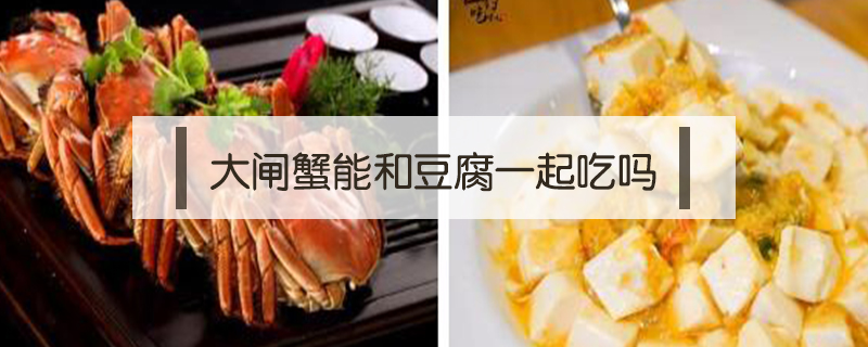 大閘蟹能和豆腐一起吃嗎
