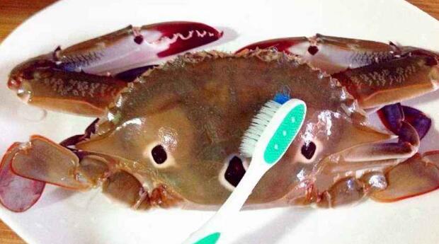 大閘蟹能和豆腐一起吃嗎