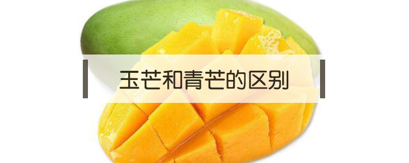 玉芒和青芒的區(qū)別