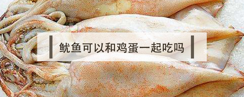 魷魚可以和雞蛋一起吃嗎