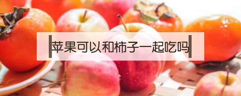 蘋果可以和柿子一起吃嗎