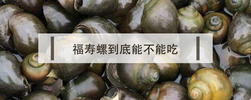 福壽螺到底能不能吃
