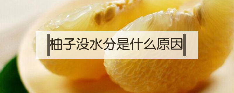 柚子沒水分是什么原因