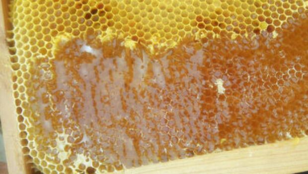 喝蜂蜜水會(huì)胖嗎