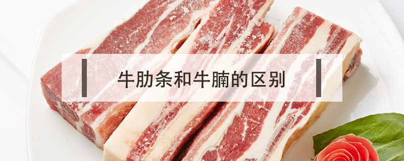 牛肋條和牛腩的區(qū)別