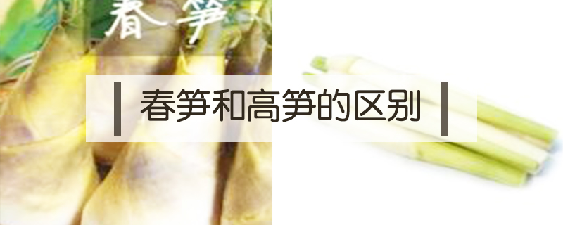 春筍和高筍的區別