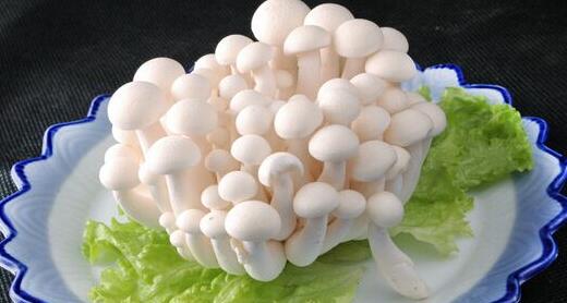 香菇和白玉菇的區(qū)別