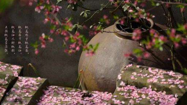 桃花釀瓶塞怎么打開