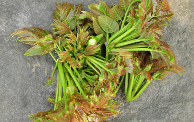 春分吃什么美食，春分節(jié)氣養(yǎng)生吃什么菜?