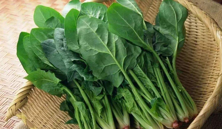 春分吃什么美食，春分節(jié)氣養(yǎng)生吃什么菜?