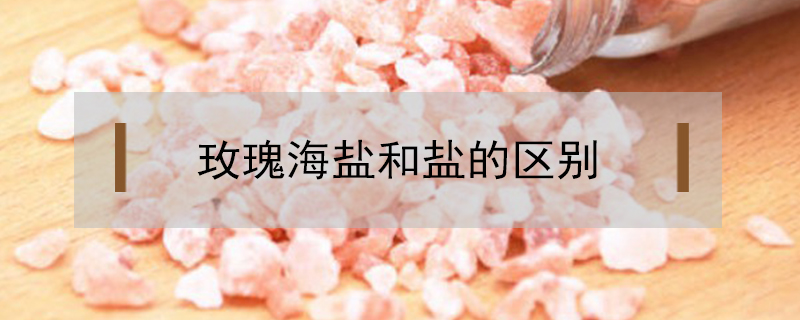 玫瑰海鹽和鹽的區別