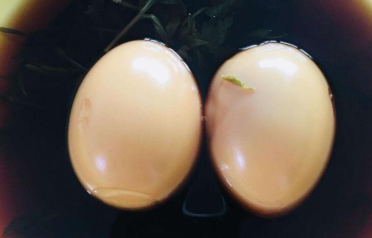 艾葉煮雞蛋怎么煮