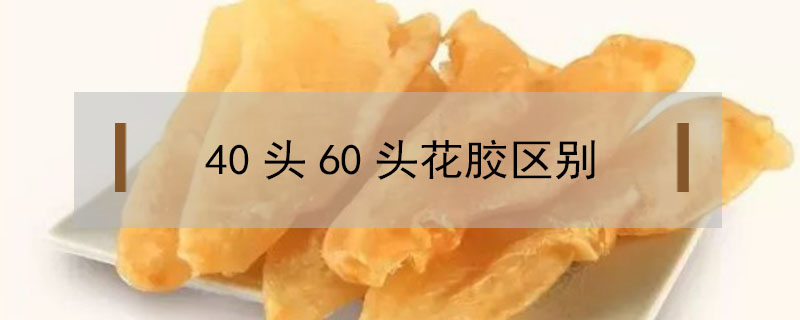 40頭60頭花膠區(qū)別