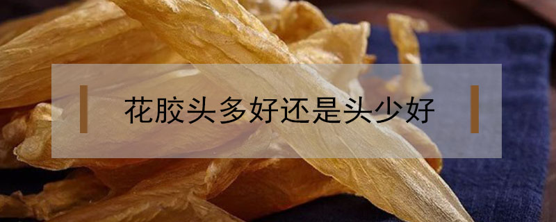花膠頭多好還是頭少好