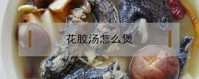 花膠湯怎么煲