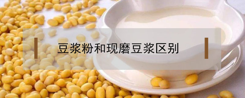 豆漿粉和現磨豆漿區別