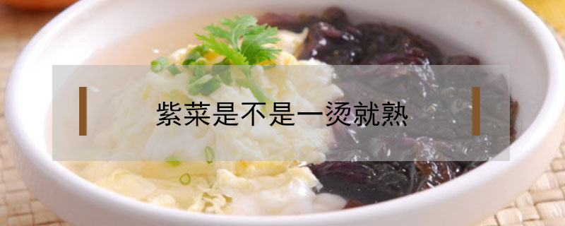 紫菜是不是一燙就熟