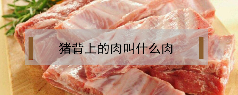 豬背上的肉叫什么肉