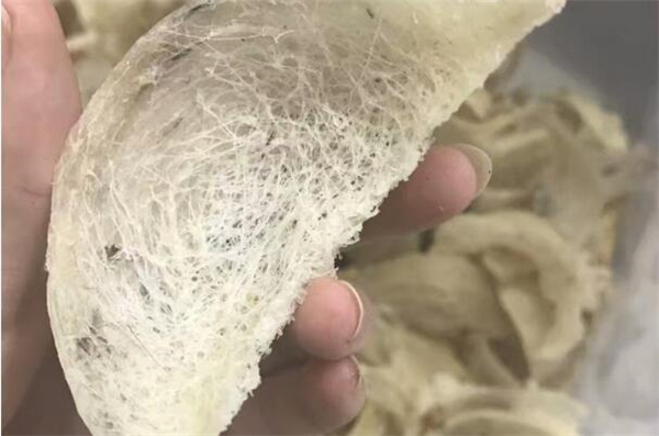 毛燕和燕窩的區別