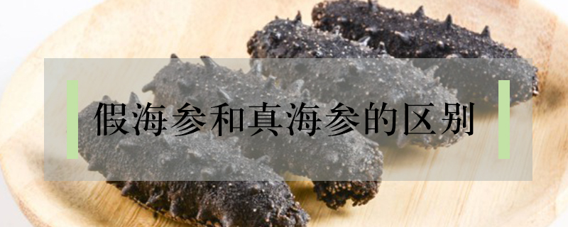 假海參和真海參的區別