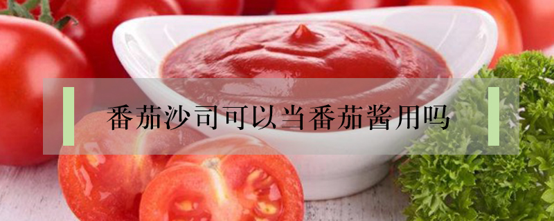 番茄沙司可以當(dāng)番茄醬用嗎