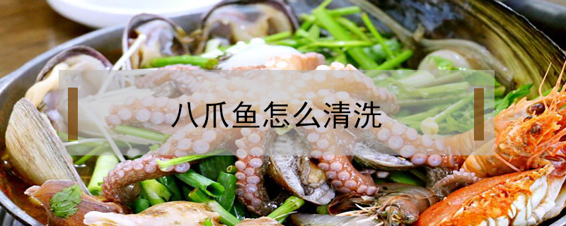 八爪魚(yú)怎么清洗